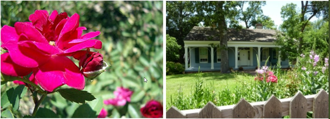 Boyd house garden